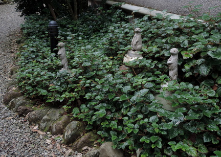 Meerkat shrine