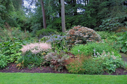 Bushes