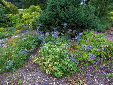 Rockery