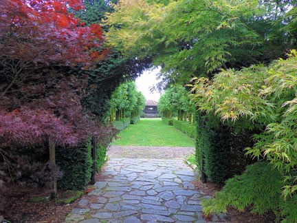Through the arch