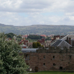 Shropshire, June 2008