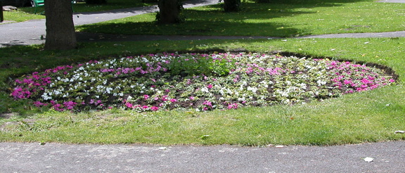 Flower bed