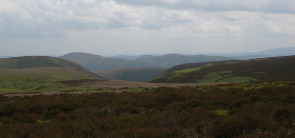 Hilly landscape