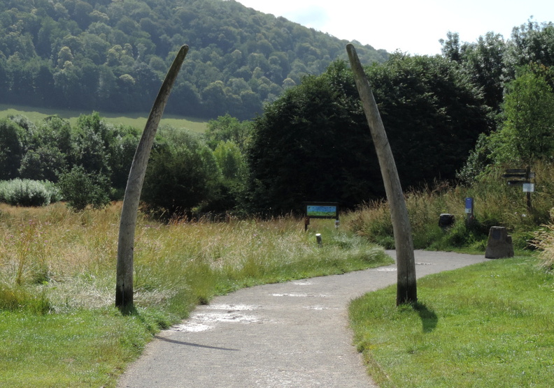 Mammoth tusks