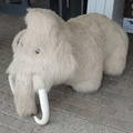 Fluffy Mammoth