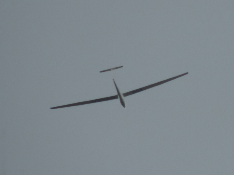 28-Glider.jpg