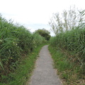 Path