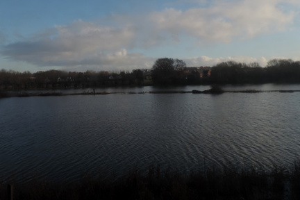 Flooded field