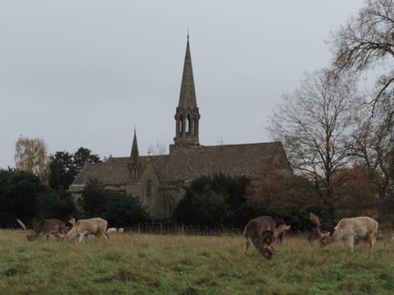Church and deer