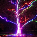 Neon Tree
