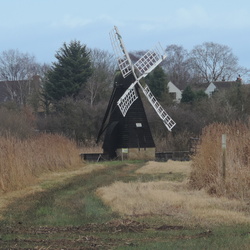 Wicken Fen