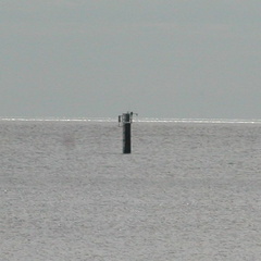 Tower at sea