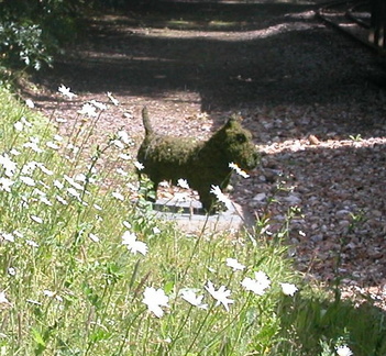 Dog made from moss