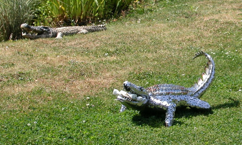 10-Crocodiles.jpg