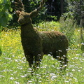 Moss Deer