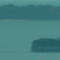 Forts in front of the Isle of Wight