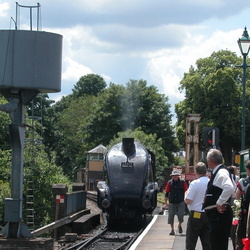 Watercress line