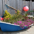 Garden in a boat