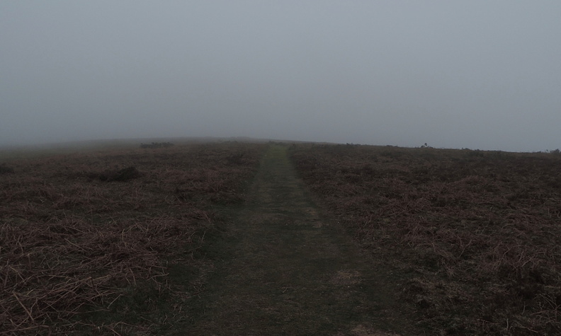 Misty path