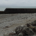 Sea wall