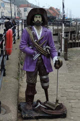 Purple pirate