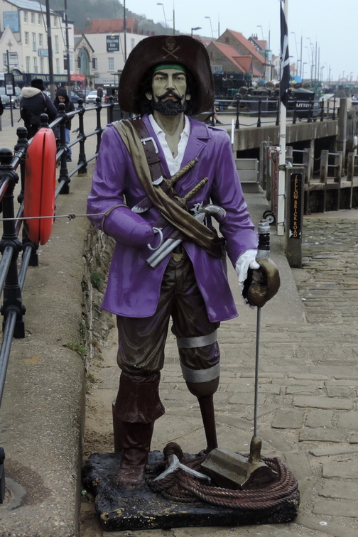 Purple pirate