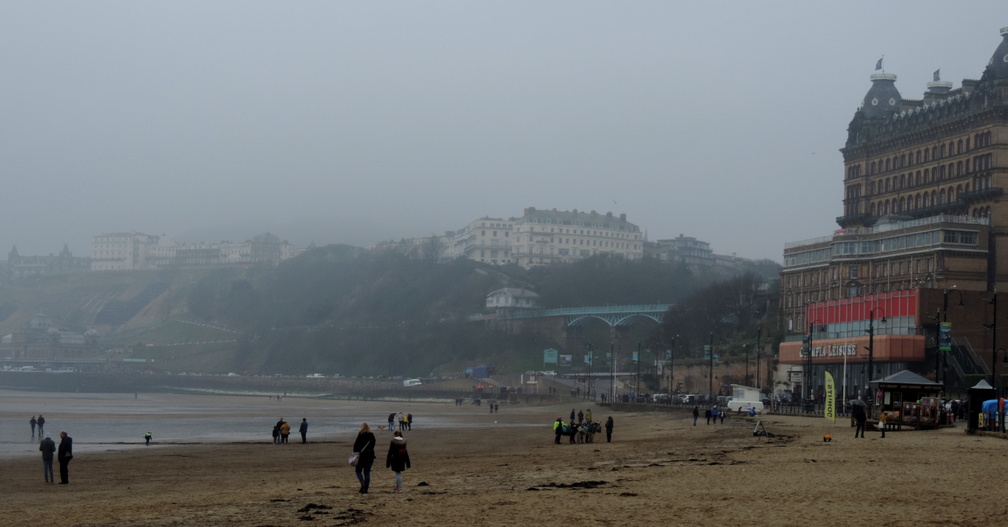 Along the beach