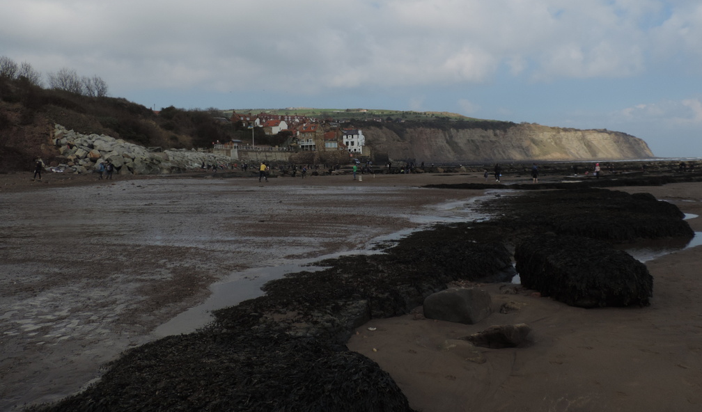 Along the coast