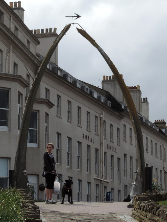 Whalebone arch