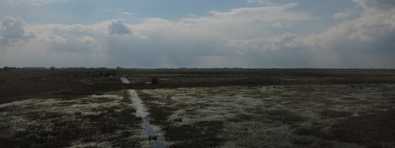 Ouse Washes