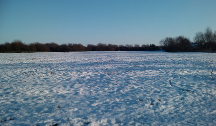 Coldhams Common