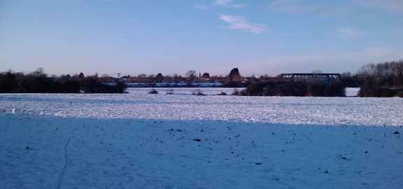 Ditton Meadow