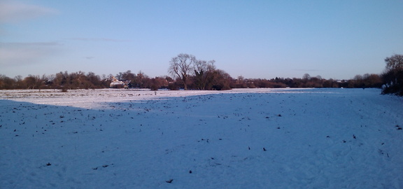 Ditton Meadow