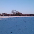 Ditton Meadow