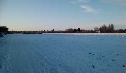 Ditton Meadow