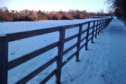 Fence