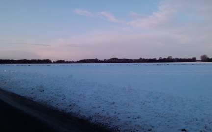 Fields
