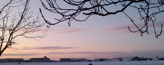 Airport through the Branches