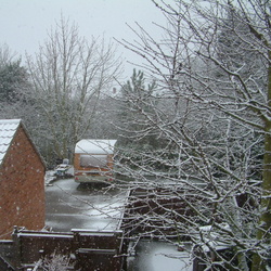 Snow, Easter 2008