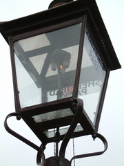 Lantern