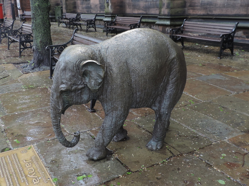 65-Elephant.jpg