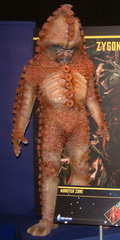 Zygon