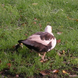 Trip to Ely, 2006