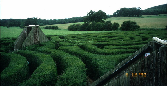 Maze