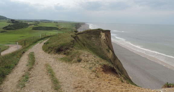 Along the coast