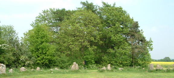 Stones and trees
