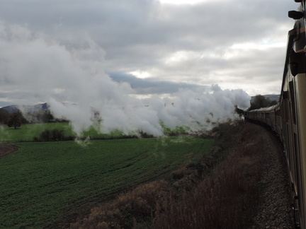 Along the train