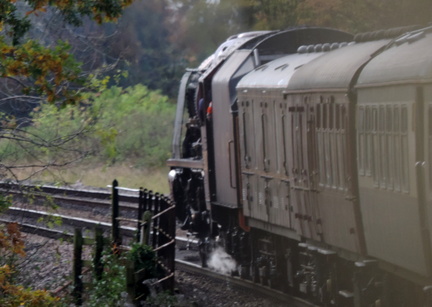 Along the train