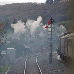 Along the train