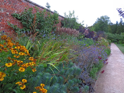 Herbaceous border